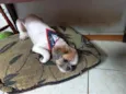 Billy