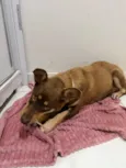 Maggie