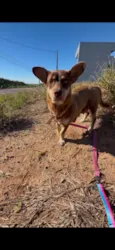 Maggie
