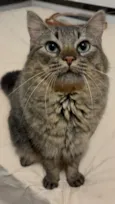 Francisco
