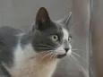 Zoe