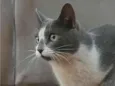Zoe