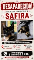 Safira