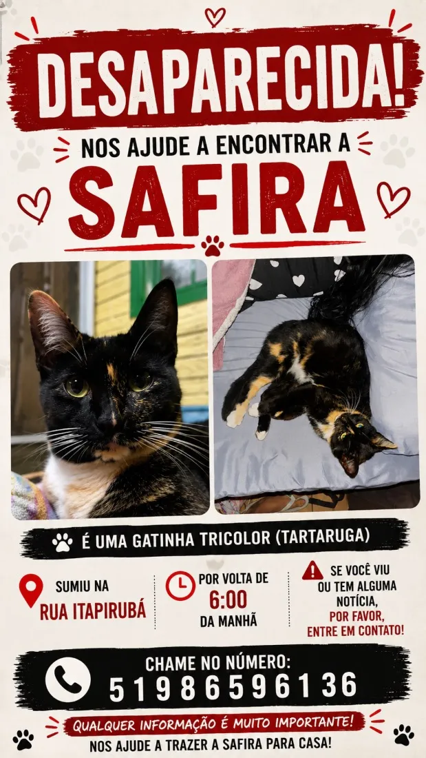 Gato raça SRD-ViraLata idade 1 ano nome Safira