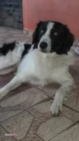 Bidu