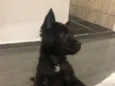 Nina