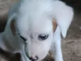 Princesa branca de neve e pretinha