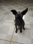 Nina