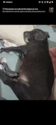 Pandora e Banguela
