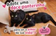 Pantera