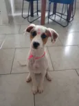 Coraline