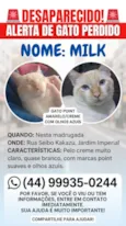 Milk