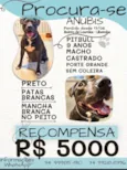 Anúbis