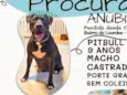 Anúbis