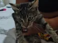 Lua 2