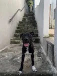 Bruce 