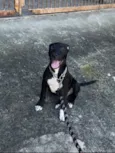 Bruce 