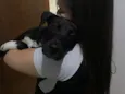 Bruce 