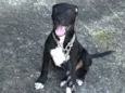 Bruce 