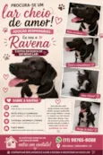 Ravena