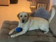 Marley 