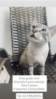 José 