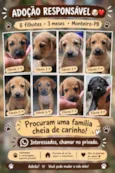 sem nomes