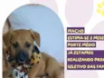 Valdo