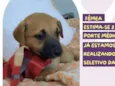 Jéssica