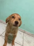 luki