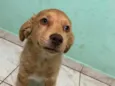 luki