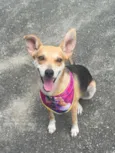 Fiona