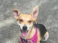 Fiona