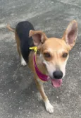 Fiona