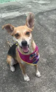 Fiona
