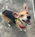 Fiona