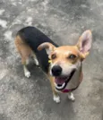 Fiona