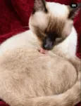 Logan