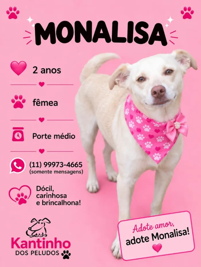 Cachorro raça SRD-ViraLata idade 2 anos nome Monalisa