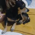 não sei