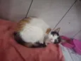 Nina