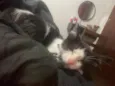 Ryuk