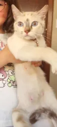 Polar