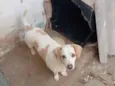Bombom
