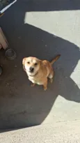 mel 