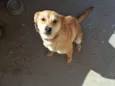 mel 