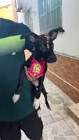 Lua
