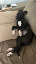 Lua