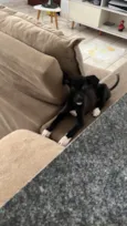 Lua