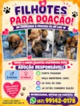 sem nome
